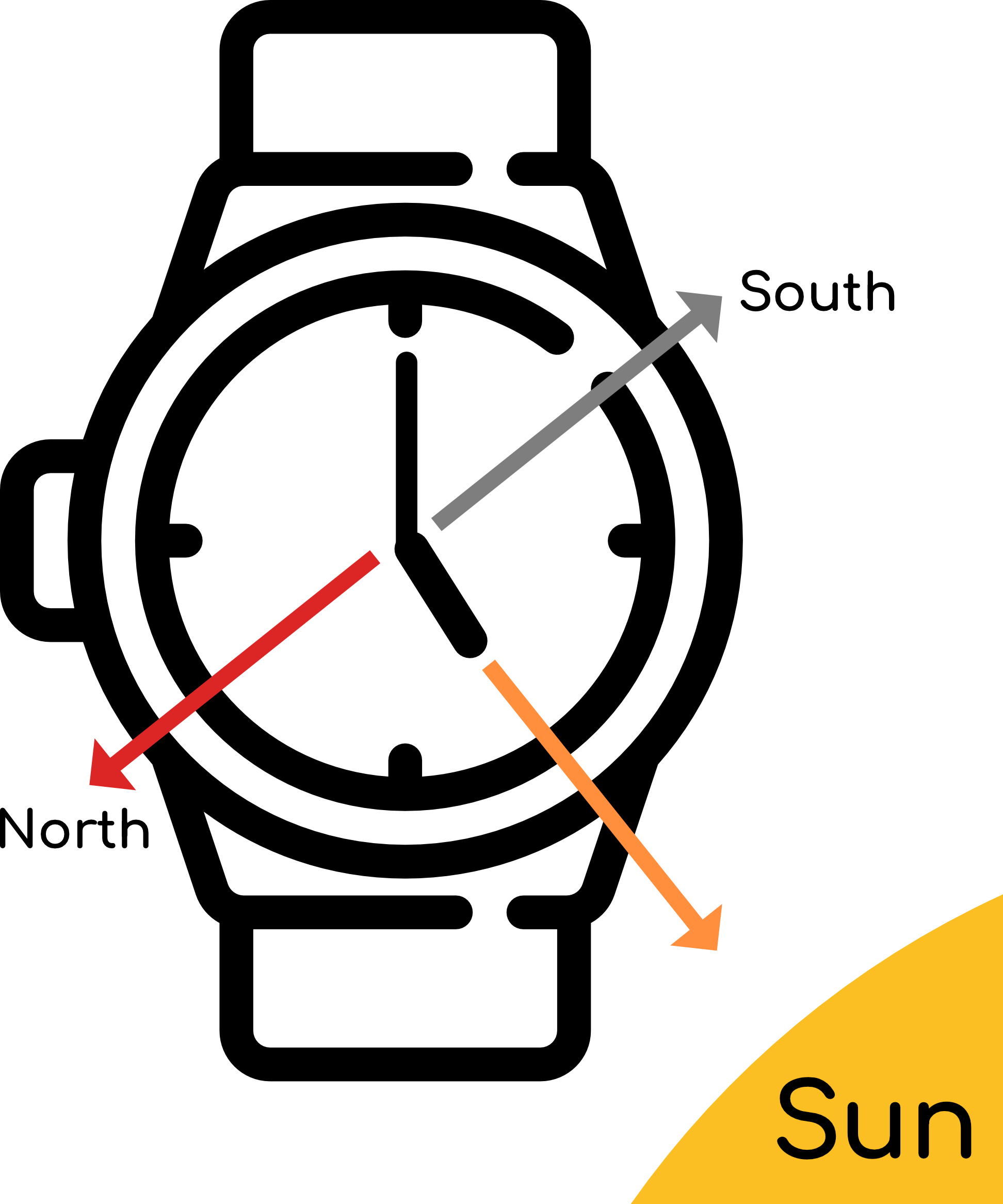 A diagram showing how to find north using a watch